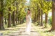 A woman in a white dress standing in the middle of a forest.